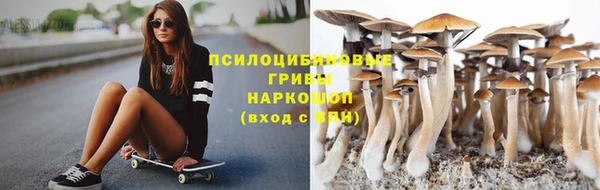 дживик Карпинск