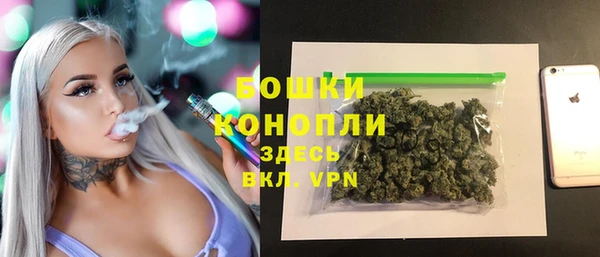 дживик Карпинск