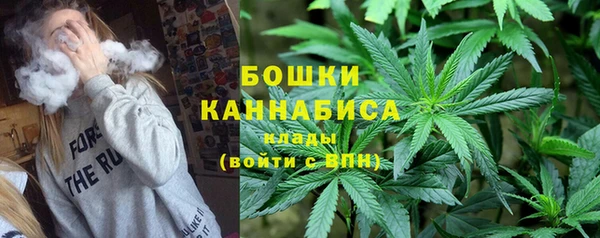 дживик Карпинск