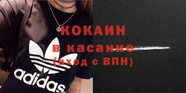 дживик Карпинск